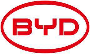 Red BYD logo with bold letters inside an oval outline on white background