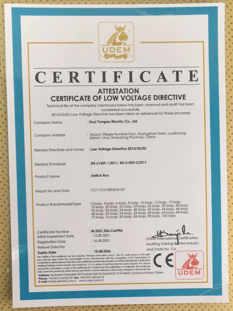 UDEM CE certificate of attestation for low voltage directive compliance document